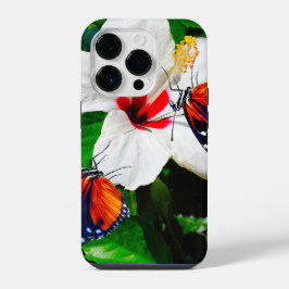 Flor de Hibiscus com 2 borboletas de Tigre