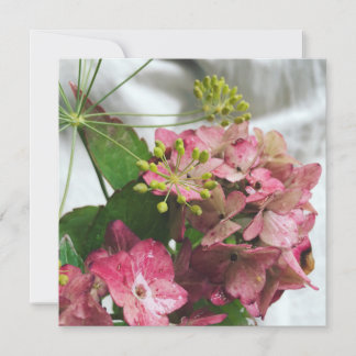 Flor de hortênsia encontra em chuva e endro