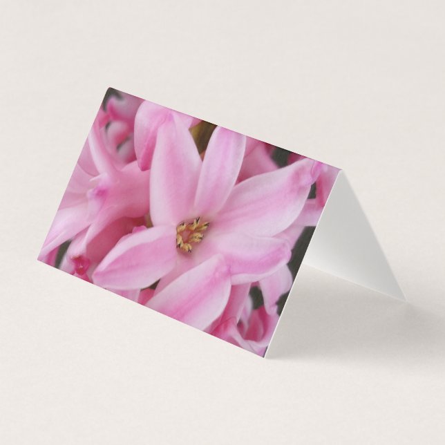 flor de hyacinte rosa (Frente)