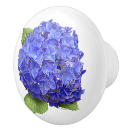 Flor de Hydrangea Azul