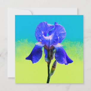 flor de íris