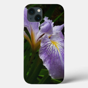 Flor de Íris Selvagem Roxa