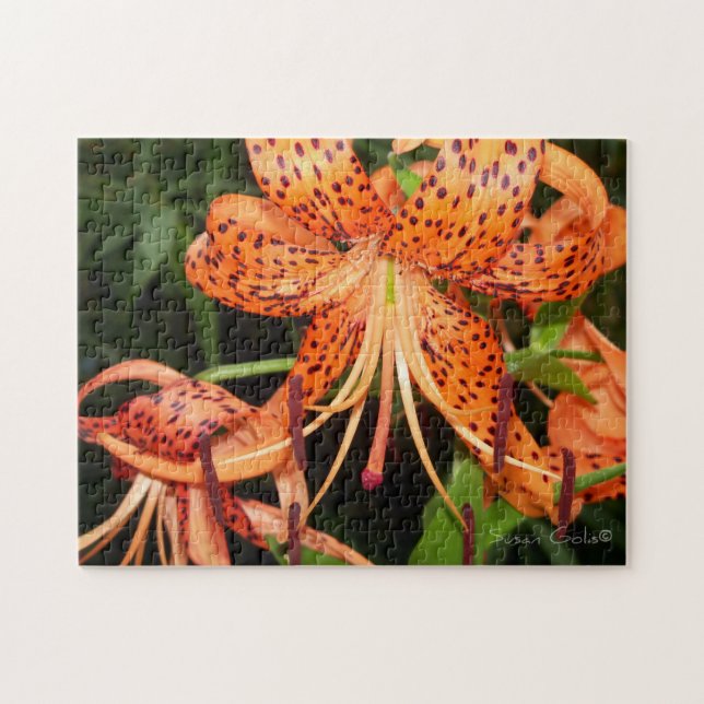 Flor de Lírio Tigre Laranja Quebra-Cabeça (Horizontal)