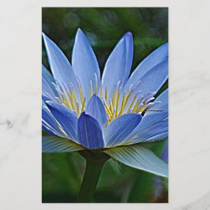 Flor de lótus e significado