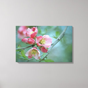 Flor de Maçã #P0356 Canvas