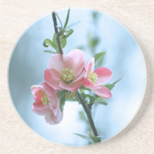 Flor de Maçã #P0365 Porta copos