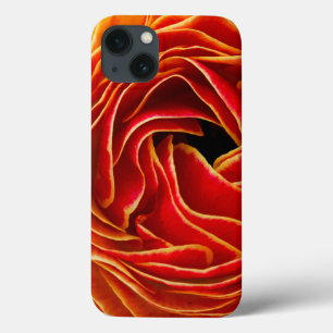 Flor de Macro  Flower Fields Carlsbad, CA