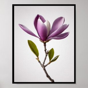 Flor de magnólia roxa, Magnolia felix Wall Poster