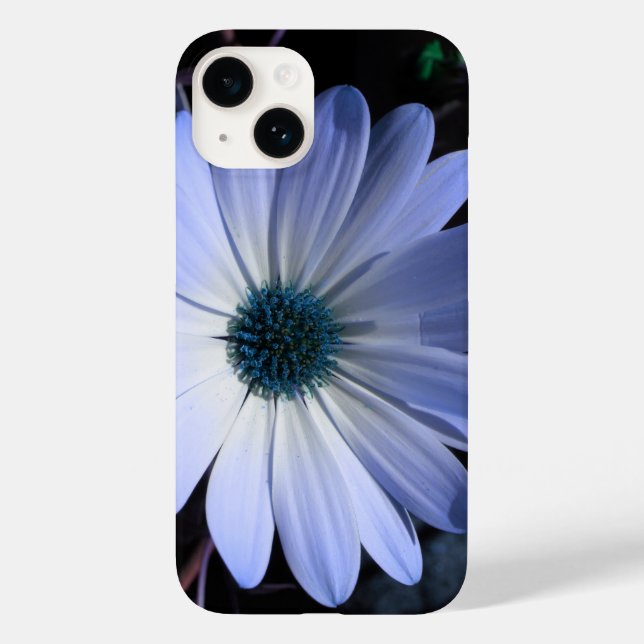 Flor de margarida azul (Verso)