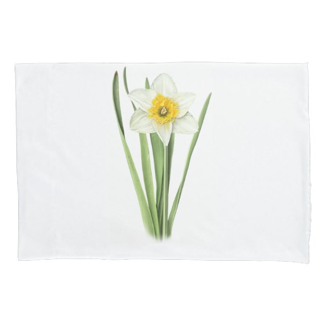 Flor de Narciso (Frente-Esquerda)