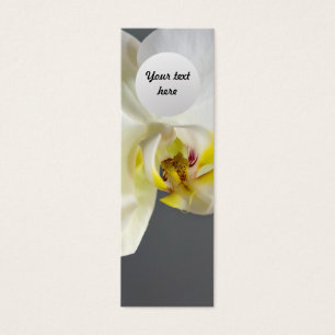 Flor de Orquídea Branca