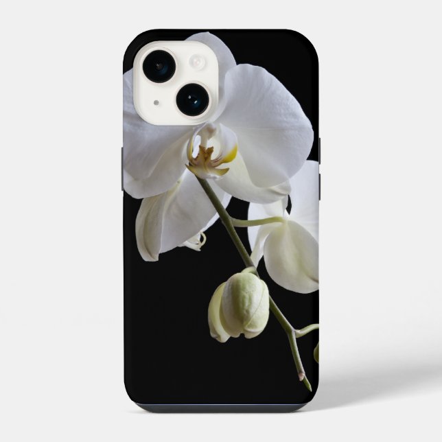 Flor de Orquídea Branca sobre Preto (Verso)