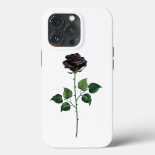 Flor de rosa preta
