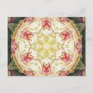 Flor de Vida Mandala 6 Cartões