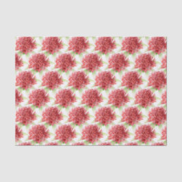 Flor de waratah aquarela vermelha papel de seda bo
