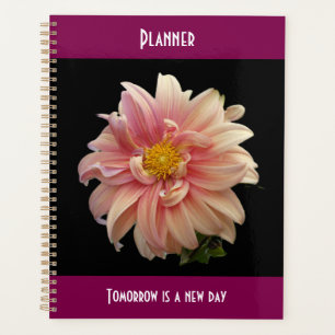 Flor distorcido - planejador