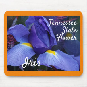 Flor do Estado do Tennessee Iris Nature Mousepad