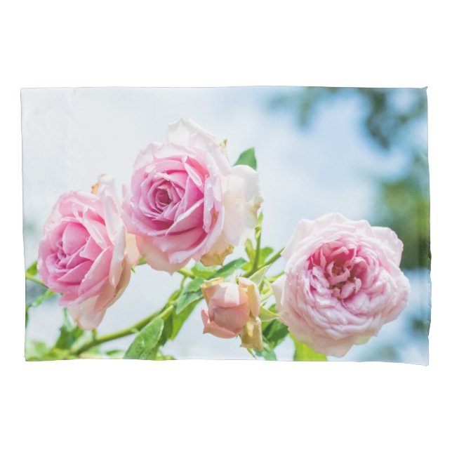 Flor do rosa do rosa (Frente)