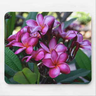 Flor exótica, Mousepad