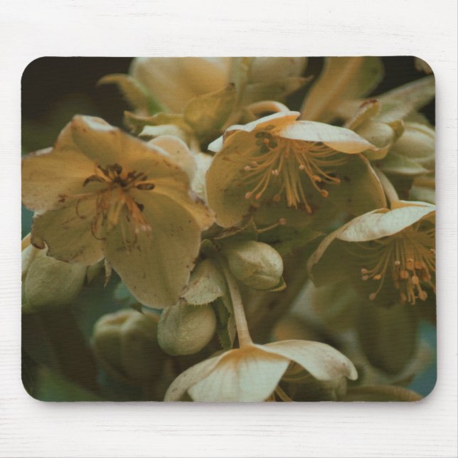 Flor floral Mousepad (Frente)