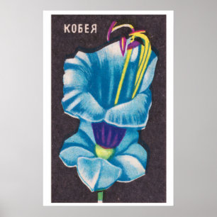 Flor Kobeya - Impressão Caixa de Fósforos - Parede