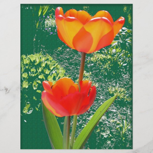 Flor Laranja (Frente)
