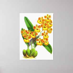 Flor Laranja Amarelo Vintage - Impressão de Tela