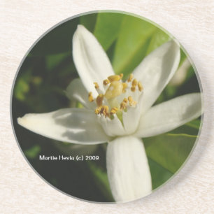 Flor Laranja - Porta copos