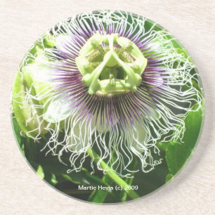 Flor monstro - Porta copos