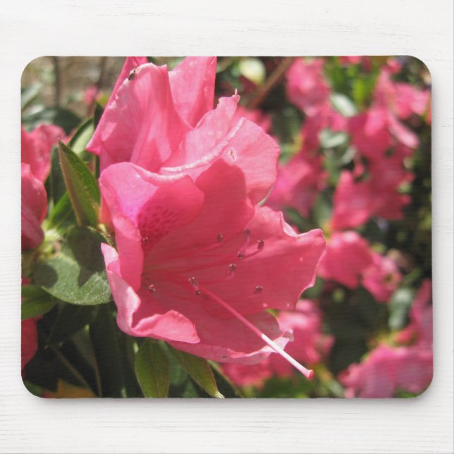 Flor Mousepad (Frente)