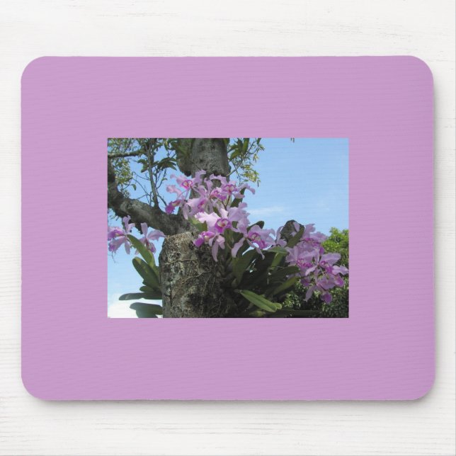 Flor Mousepad da orquídea - (Frente)