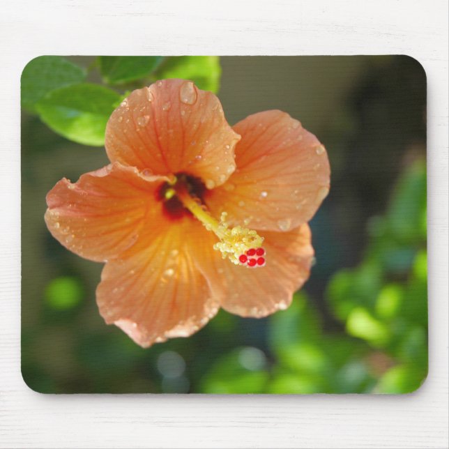 Flor Mousepad de Hibiscis (Frente)