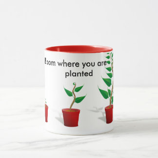Flor onde você é caneca plantada