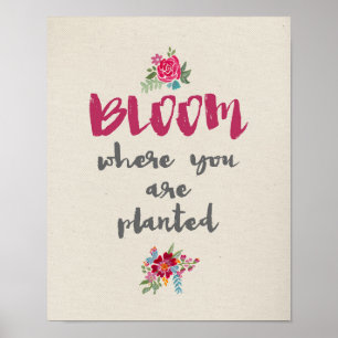 Flor onde você é poster plantado