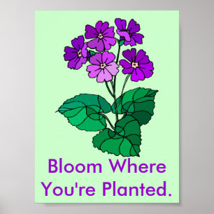 Flor onde você é poster plantado