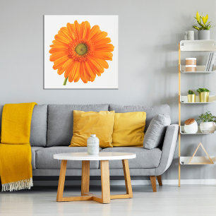 Flor Orange Gerbera Daisy na Poster de foto branca