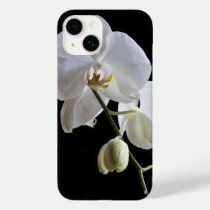 Flor Orquídea Branca em Preto