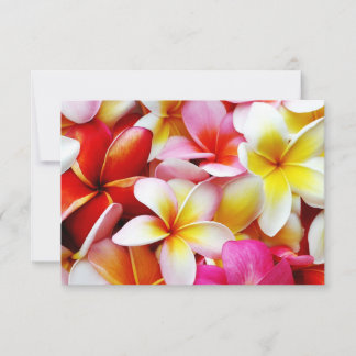 Flor Plumeria Frangipani Hawaii Personalizado
