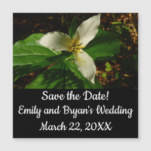 Flor Primavera de Flor Trillião Branco