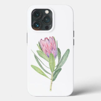 Flor Protea