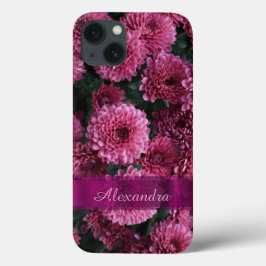 Flor rosa bonito e personalizada Chrysanthemum