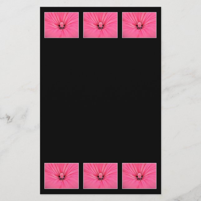 Flor Rosa Brilhante. (Frente)