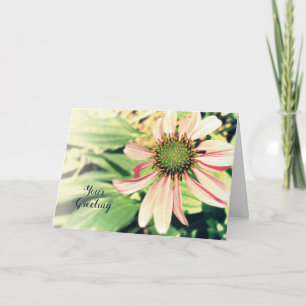 Flor rosa de Cone Qualquer Cartão de Saudação d