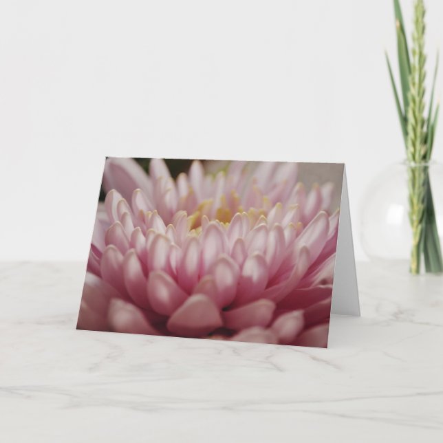 Flor Rosa Fechar Cartão de Nota (Frente)