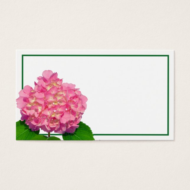 Flor rosa-rosa Hydrangea cor-de-rosa-rosa (Frente)