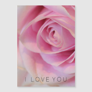 Flor Rosa Rosa Rosa Rosa Rosa Rosa Rosa Rosa Rosa
