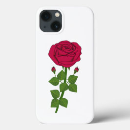 Flor rosa - Rosas roxas !