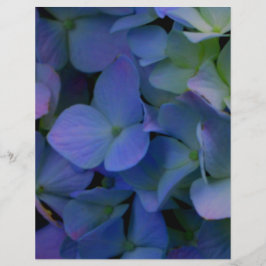 Flor roxo, púrpura, empoeirado