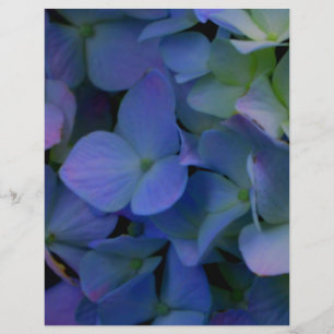 Flor roxo, púrpura, empoeirado