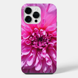 Flor Roxo Rosa Dahlia